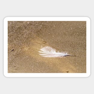 White Feather on Gold Dust Sticker